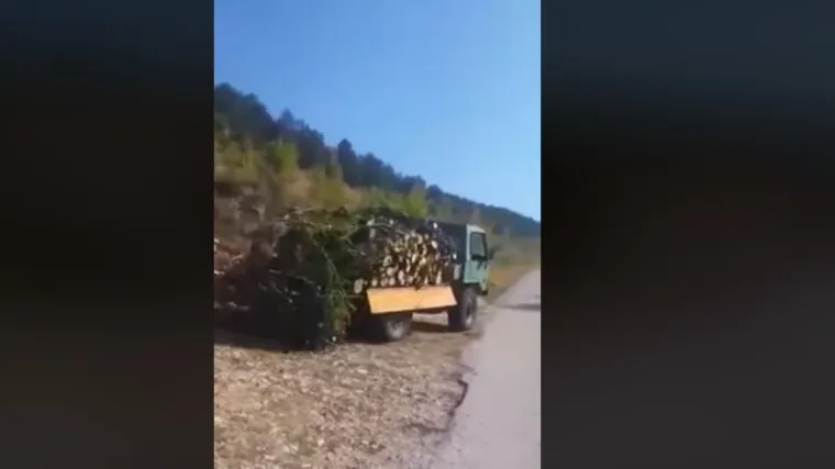 Onda morate vidjeti kako se drva iskrcavaju u Dalmaciji - tako snalažljivo da ćete se rasplakati od smijeha