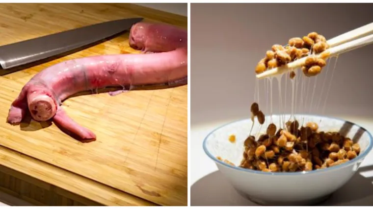 Otvoren Muzej najodvratnije hrane na svijetu: Truli morski pas, sir s crvima, bikov penis...