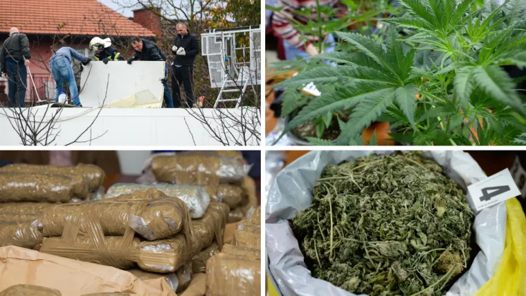 Hrvatska sve popularnija narkoruta: U 2018. zaplijenjeno 3,5 tone trave, gotovo 2 tone doplutale morem