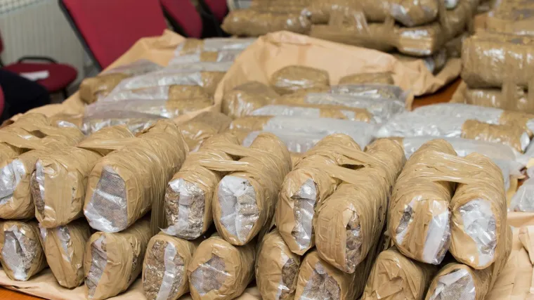 'Pretpostavljamo da su je vozili gliserima'