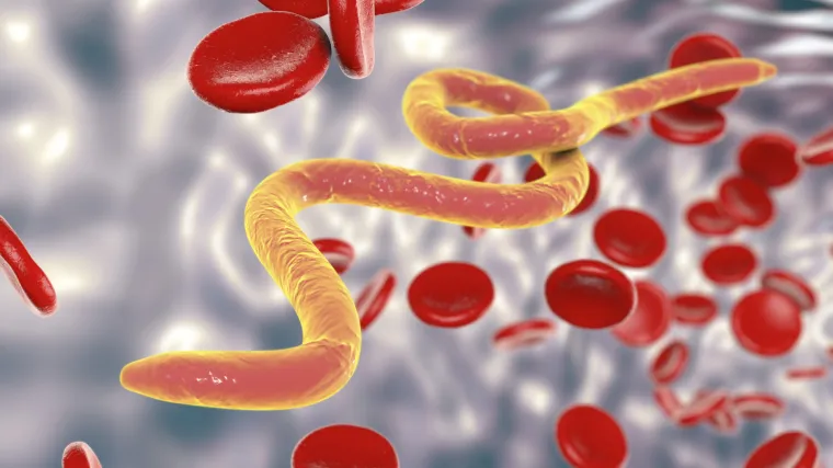 Parazitski crvi vje&scaron;to nas napadaju i uzrokuju brojne bolesti, no sad su otkrivene nove informacije