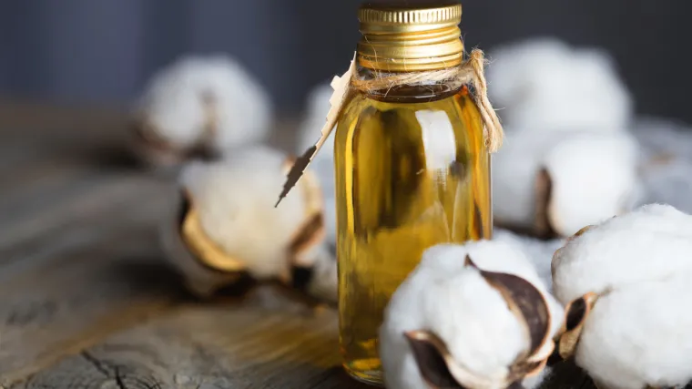 Može li ulje sjemenki pamuka pomoći u snižavanju 'lo&scaron;eg' kolesterola?