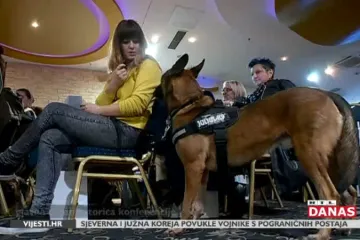 Hrvatska broji oko 15.000 napuštenih pasa: Na pronađenom domu, svaki pas će biti  zauvijek zahvalan