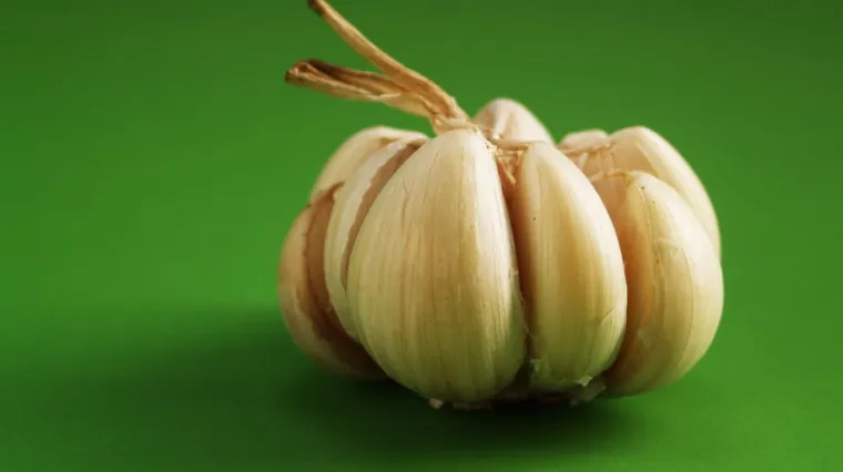 Znate li kada i kako se sadi če&scaron;njak?