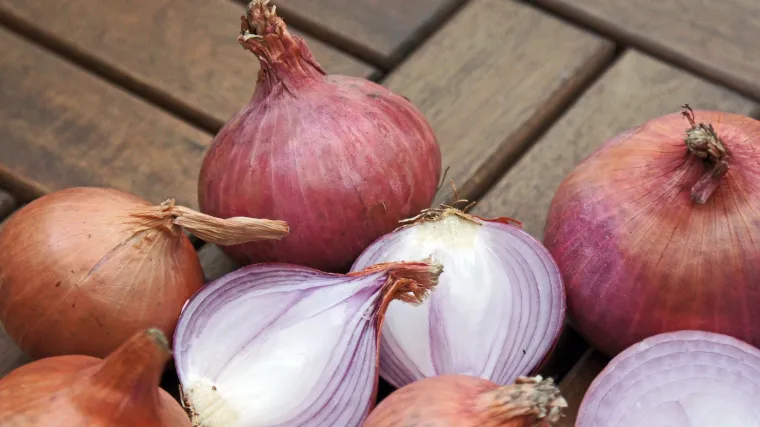 Sadnja crvenog luka u jesen - Sve o sadnji crvenog luka