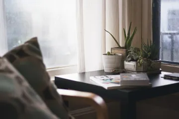 Cvijeće koje je dobro imati u kući