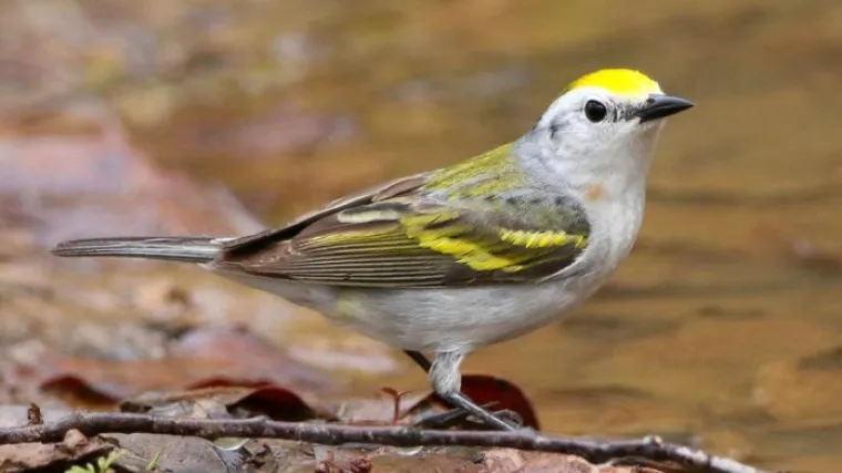 ‘Nikada nismo vidjeli nešto slično’