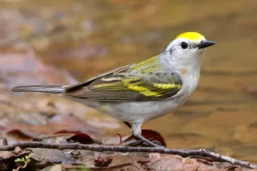 ‘Nikada nismo vidjeli nešto slično’