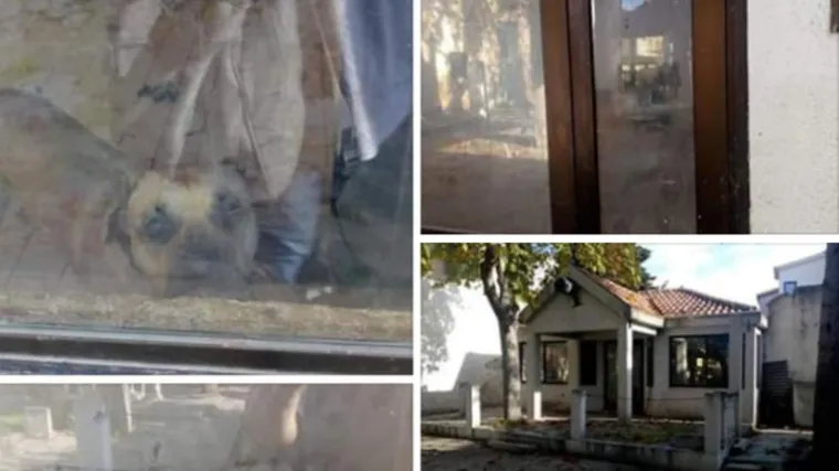 Za&scaron;to je pas iz Ka&scaron;tela  'životario' u hrpi fekalija? 'Ovo nije prvi takav slučaj, ljudi se boje reagirati'