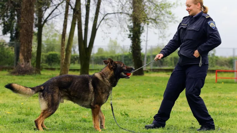 Posebna jedinica MUP-a: Djelatnici vrlo umiljati, a jo&scaron; vi&scaron;e o&scaron;trog njuha i na četiri noge