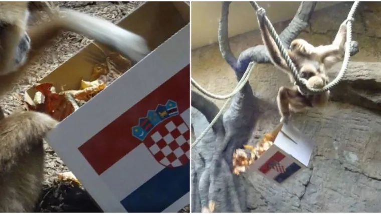 Kreću prognoze: Gibon tvrdi da pobjeđuje &Scaron;panjolska, njegova žena i djeca navijaju za Hrvatsku