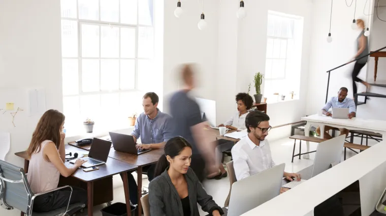 Trn u oku im je - rad na određeno vrijeme