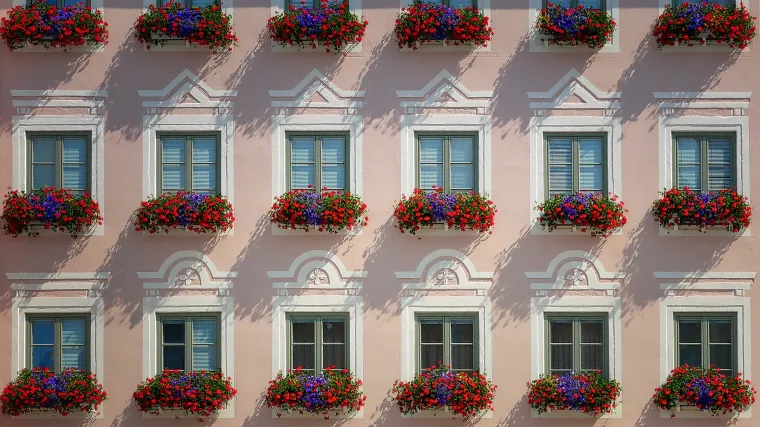 Koje je najbolje cvijeće za sunčane balkone?