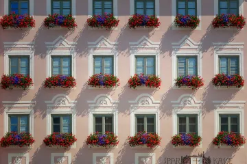 Koje je najbolje cvijeće za sunčane balkone?