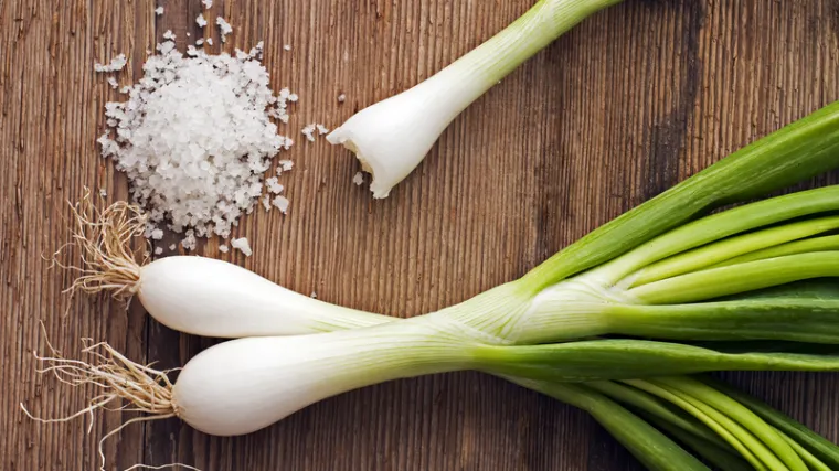 Sadnja mladog luka - otkrijte kako uspješno uzgojiti uskrsnu deliciju