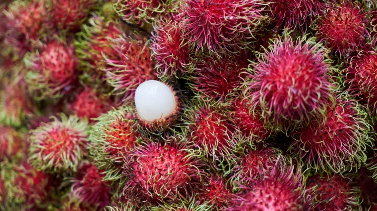Znate li što je rambutan voće? Upoznajte egzotičnu riznicu zdravlja