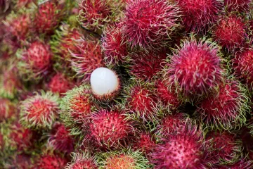 Znate li što je rambutan voće? Upoznajte egzotičnu riznicu zdravlja