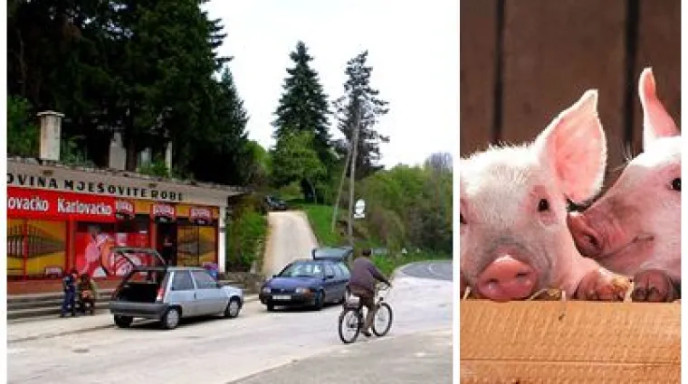 Preko noći ostao bez 12 odojaka: Policija uhitila 48-godi&scaron;njaka povezanog s bizarnom krađom