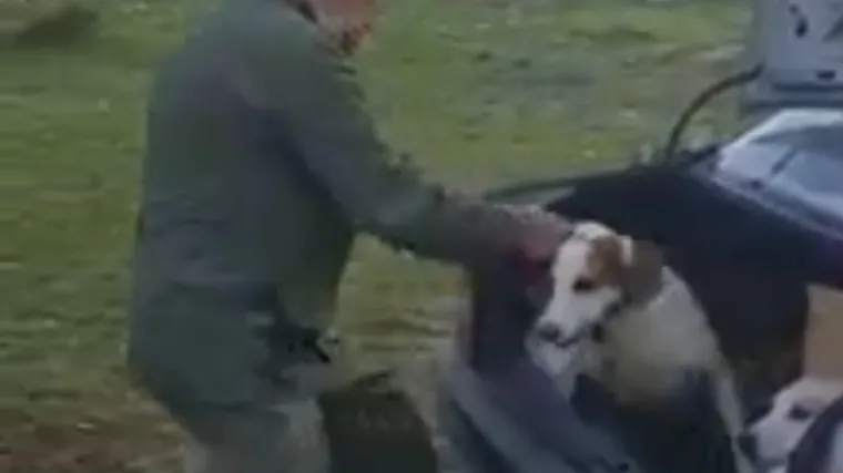 Novi detalji o snimci na kojoj mu&scaron;karac brutalno mlati pse: Napravljena je 2016.?
