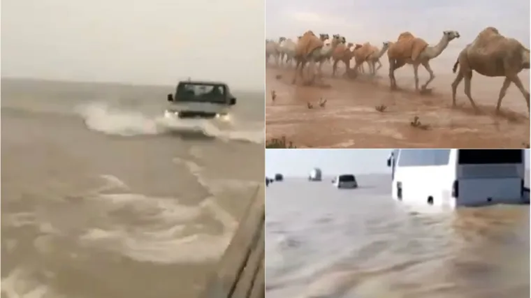 Na dru&scaron;tvenim mrežama se dijele ove nadrealne scene - pustinja se pretvorila u more