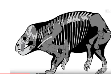 Živio je prije više od 200 milijuna godina i težio preko 9 tona