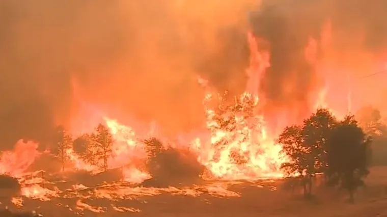 Nakon 18 dana vatrogasci pod kontrolu stavili vatrenu stihiju