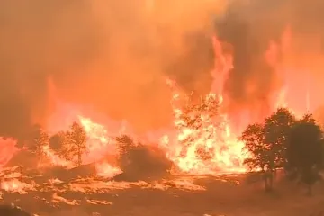 Nakon 18 dana vatrogasci pod kontrolu stavili vatrenu stihiju