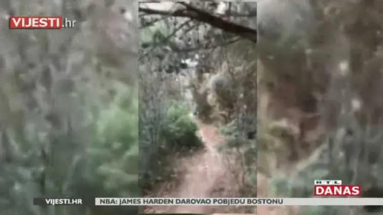 Nova fotografija dokaz je da Splitom haraju dva vepra: Lovci uskoro izlaze na teren