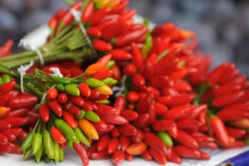 Jalapeno paprika uzgoj