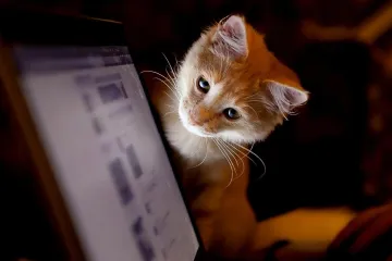 Što je to 300 DPI rezolucija?