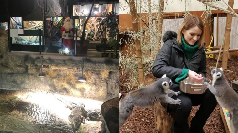 Nova atrakcija zagrebačkog Adventa: Zoolo&scaron;ki vrt pretvoren u predivnu blagdansku bajku