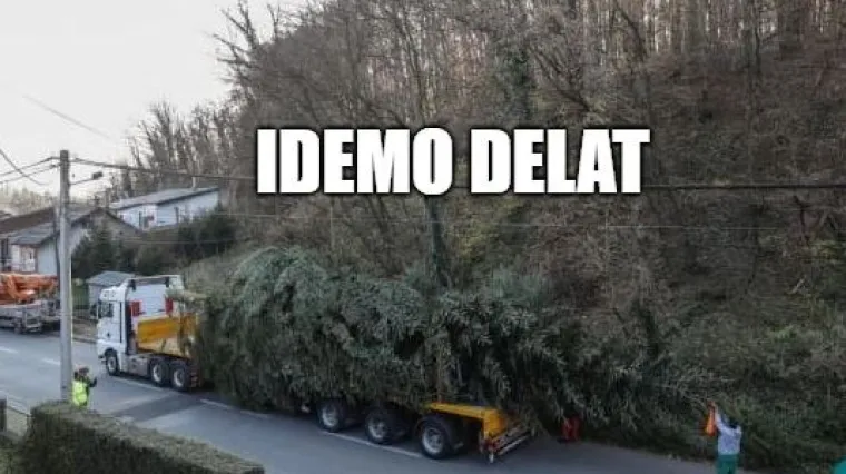 U duhu Božića: Donirao Zagrebu 20-metarski bor koji će krasiti Trg bana Josipa Jelačića