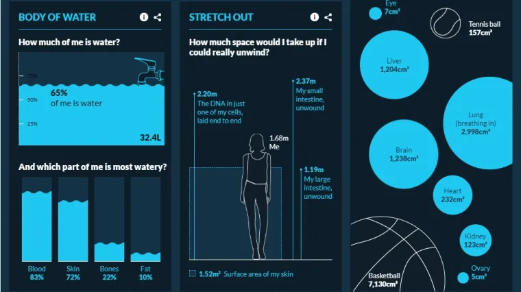 Doznajte od čega ste napravljeni i koliko zapravo vrijedite - u novcu