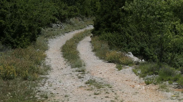 Nemaju cestu i vodu, a načelnik im poručio: 'Samo malo strpljenja i bit će svjetla! I vode i asfalta'