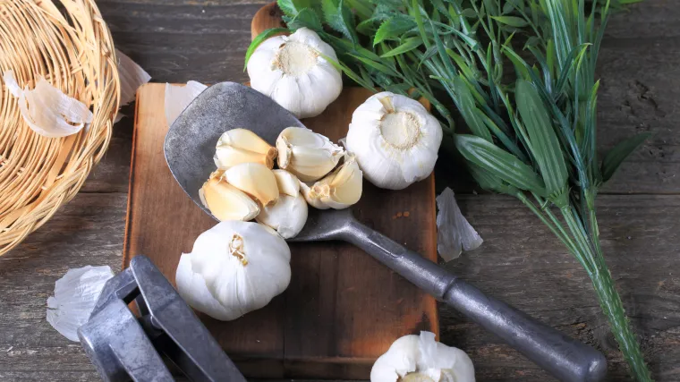 Napravio biznis na če&scaron;njaku: 'Odrastao sam na zemlji, to mi je u krvi'