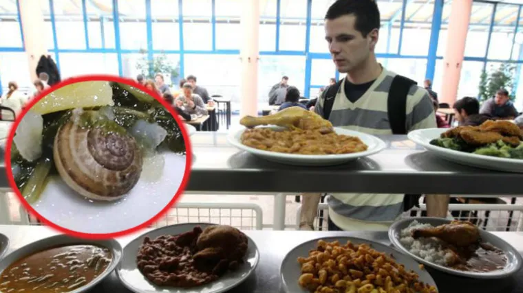Studente zagrebačke menze iznenadio novi 'prilog': U obroku s blitvom prona&scaron;li - puža!