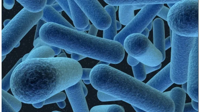 Revolucionarni test kod rođenja mogao bi spasiti milijune od smrtonosne bolesti