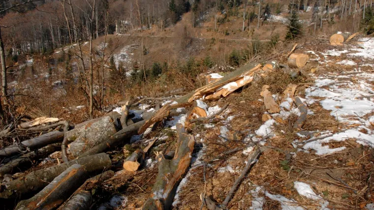 Na dana&scaron;nji dan ubijena je obitelj Zec: 'Za osudu nisu bili dovoljni ni svjedoci'
