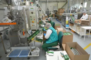 'Zaposlit ćemo radnike koji će pakirati 400 milijuna vrećica čaja'