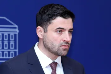 SDP-OVA MLADEŽ ODRIJE&Scaron;ITO POKLOPILA STRANAČKOM &Scaron;EFU: 'Za&scaron;to plače&scaron;? Ti si slagao listu za Skup&scaron;tinu'