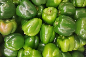 Koje sorte paprika za plastenik poznajete
