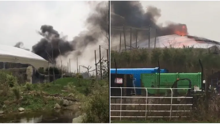 Ovo je dom 21.000 životinja, posjetitelji su evakuirani