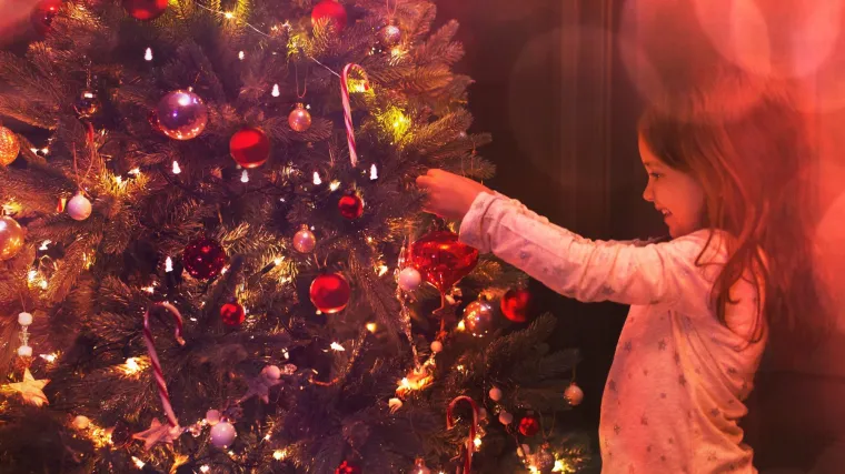 Kako izabrati kvalitetno i lijepo božićno drvce? Odgovor ima hrvatski doktor za drveće