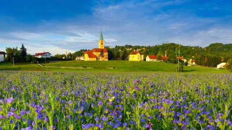 Poseban poklon stanovnicima Svete Nedelje: Grad uoči Božića ukinuo prirez, porez na potro&scaron;nju...
