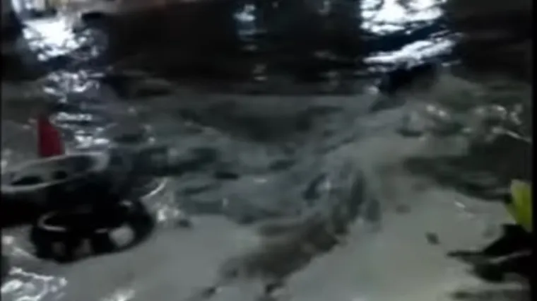 VIDEO Razoran tsunami 'pomeo' pozornicu i bend na koncertu, četiri člana mrtva