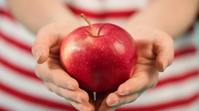 Potkornjak jabuke: &scaron;to je potkornjak jabuke?