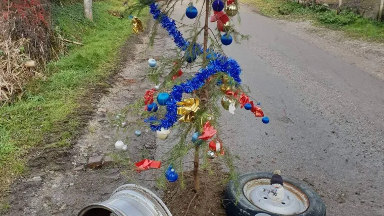 Zagorci zabili jelke u rupe na cesti kako bi obilježili katastrofalno stanje na svojim cestama