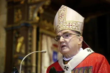 'Božić nas poziva da se borimo protiv svake neprijateljske primisli prema drugima'