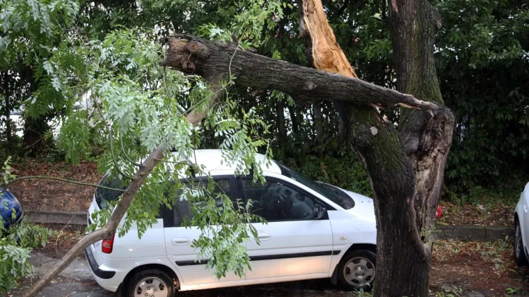 Jaka bura u badnjoj noći na splitskom području: Padala stabla i gorjeli kontejneri