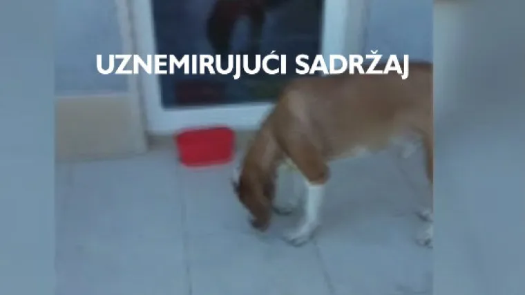 Na Braču ponovno truju životinje: 'Davali smo psu tablete ugljena, povratio je i spasio se'